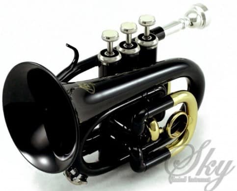 sky band approved trumpet